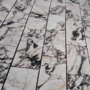 calacatta viola 12x24